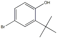 b866965 4-溴-2-叔丁基苯酚, ≥95%