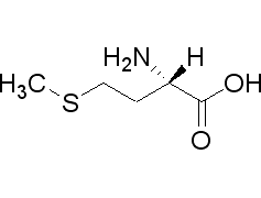 l甲硫氨酸cas63683